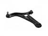 Control Arm:48069-59035