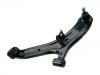 Control Arm:54500-25000