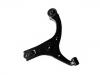 Control Arm:54501-1E000